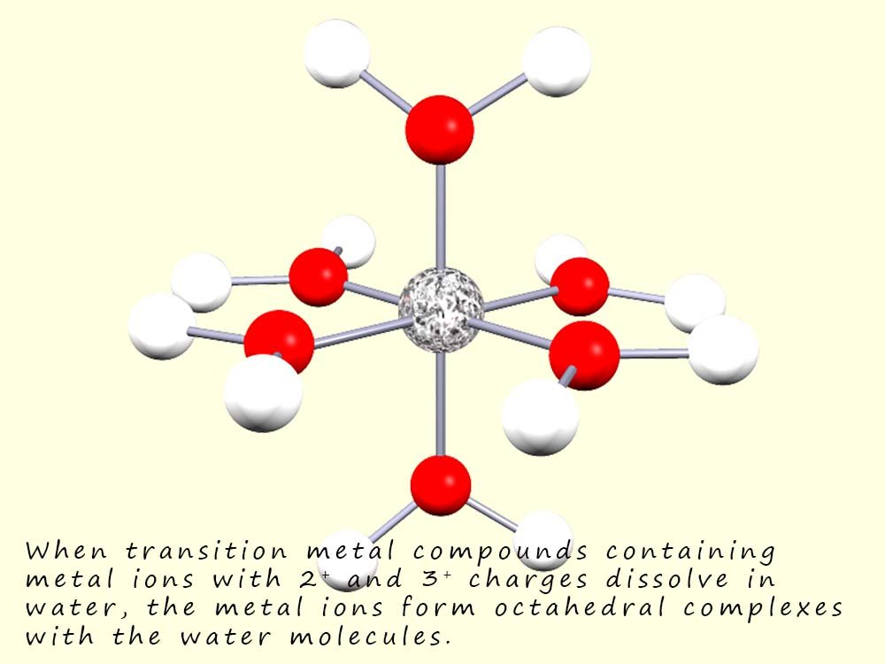 When transition metal ions with a 2+ or 3+ charge are dissolved in water the metal ions form octahedral complexes with the water molecules